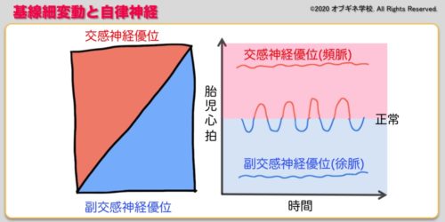 胎児心拍モニタリング編１ 新しい切り口の産婦人科学講座│見えてくる