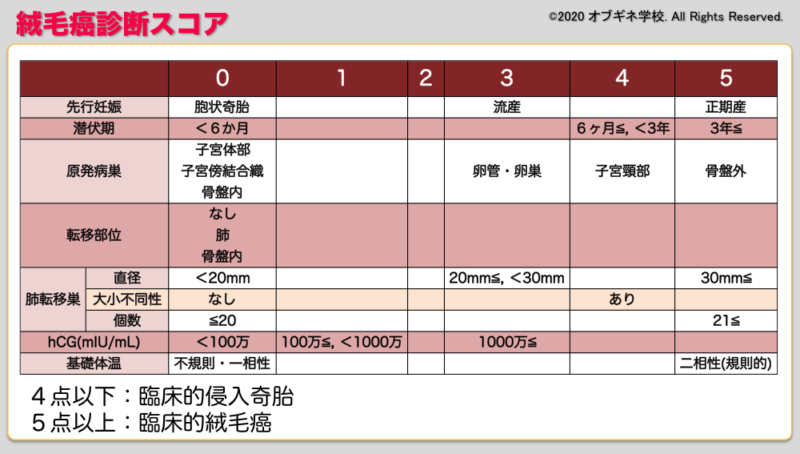 イメージから覚える絨毛性疾患│見えてくる産婦人科学 オブギネ学校