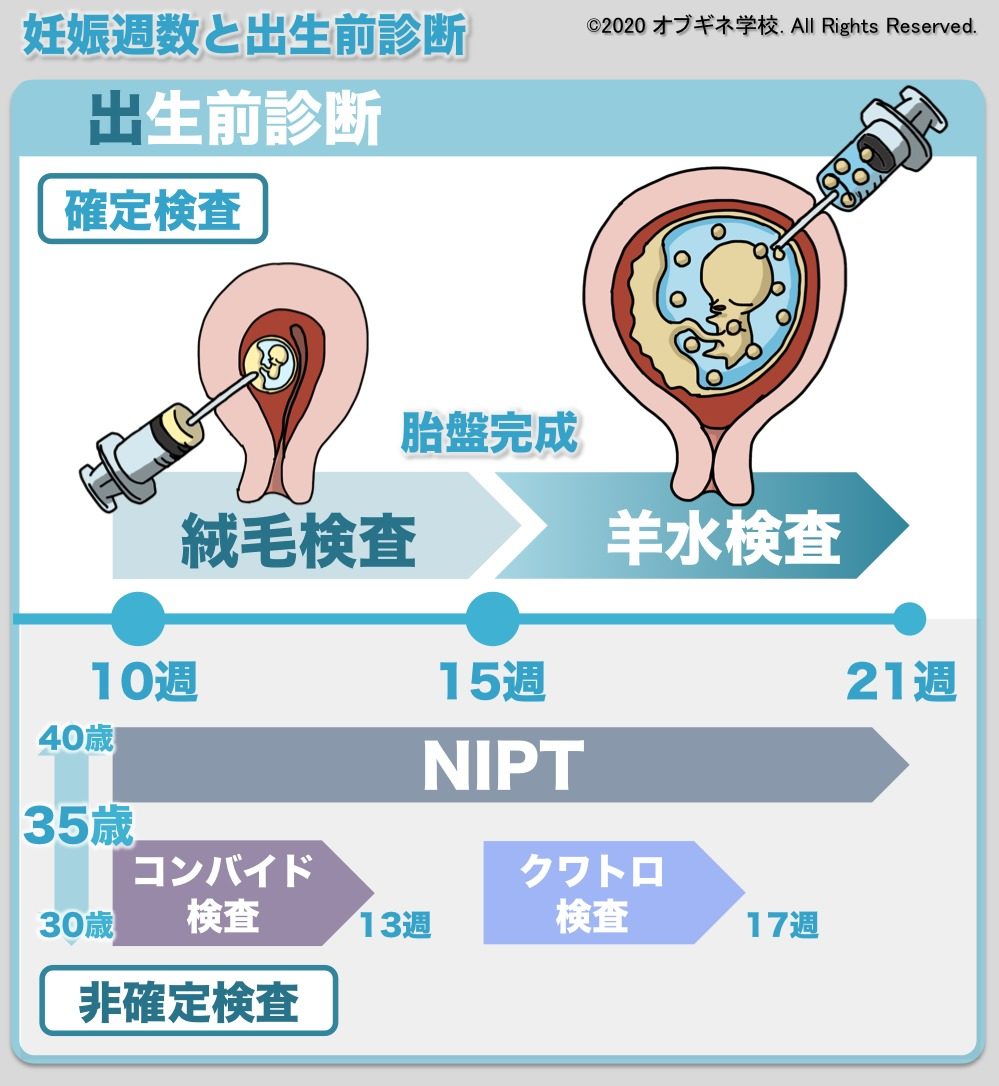 ゼロから理解する出生前診断 コンバイド検査やNIPT、そして羊水検査まで│見えてくる産婦人科学 オブギネ学校