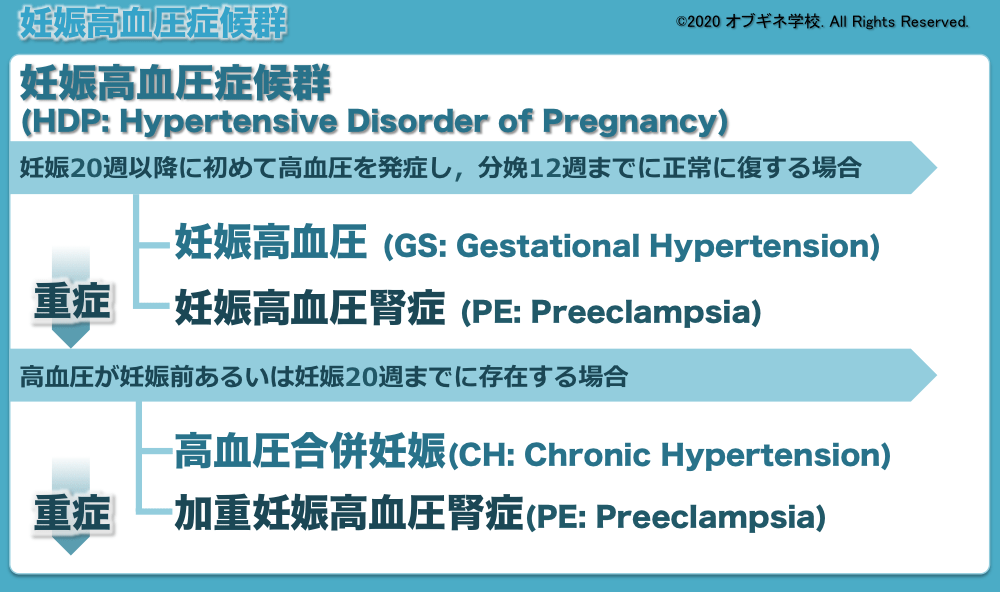 イラストから理解する妊娠高血圧症の基礎│見えてくる産婦人科学