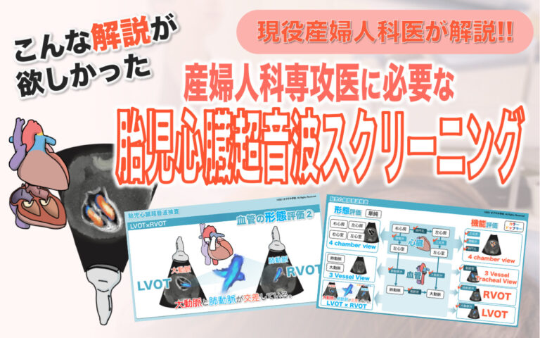 こんな解説が欲しかった！胎児心臓超音波検査│見えてくる産婦人