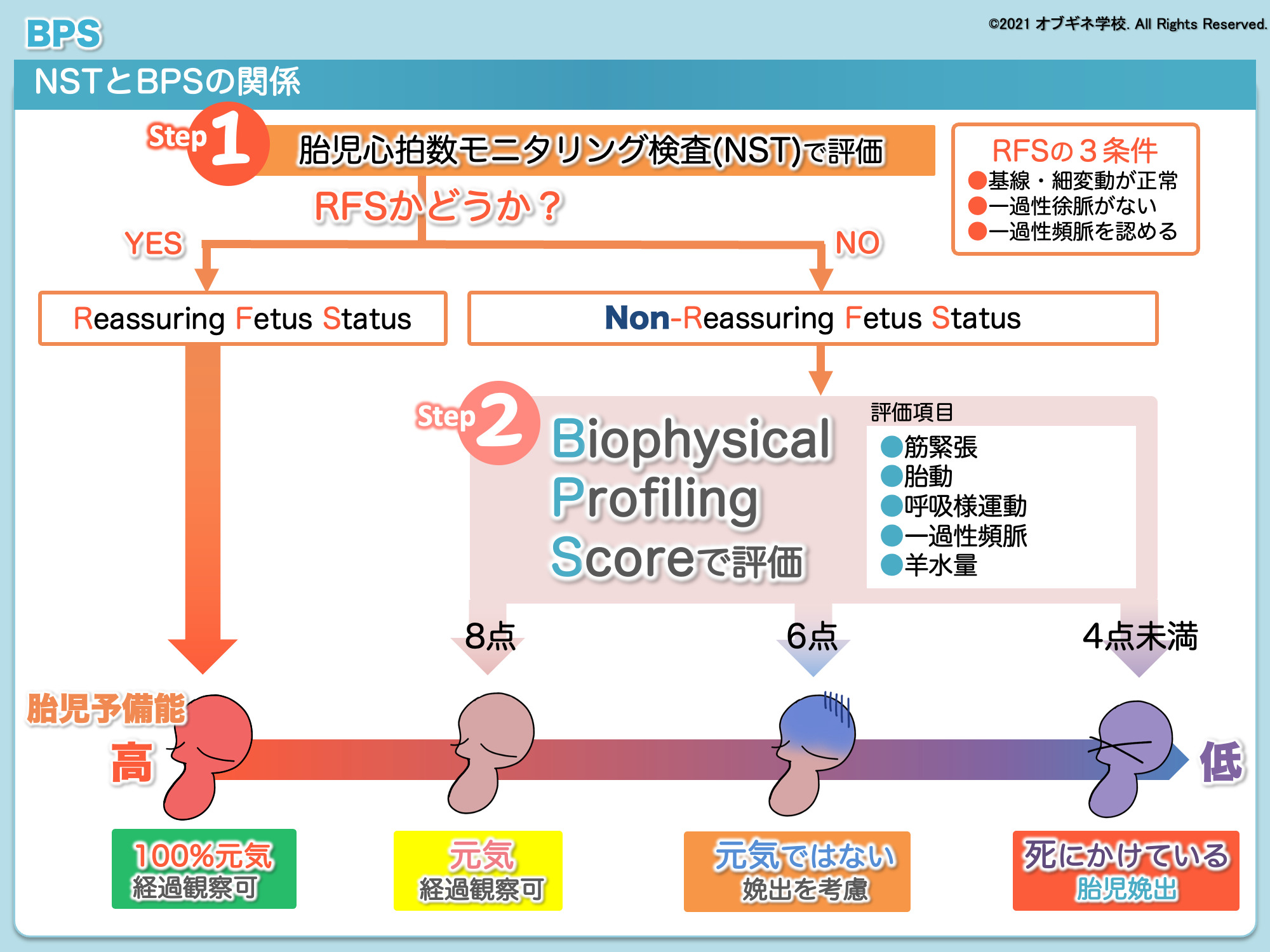 もう暗記しない！面白いほど理解できるBPS 徹底解説 Part2│見えてくる産婦人科学 オブギネ学校