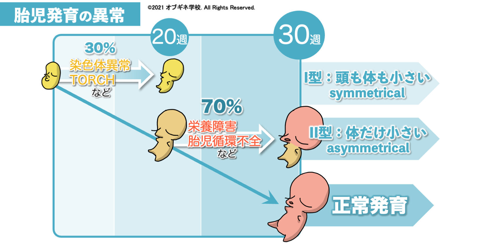 │見えてくる産婦人科学 オブギネ学校