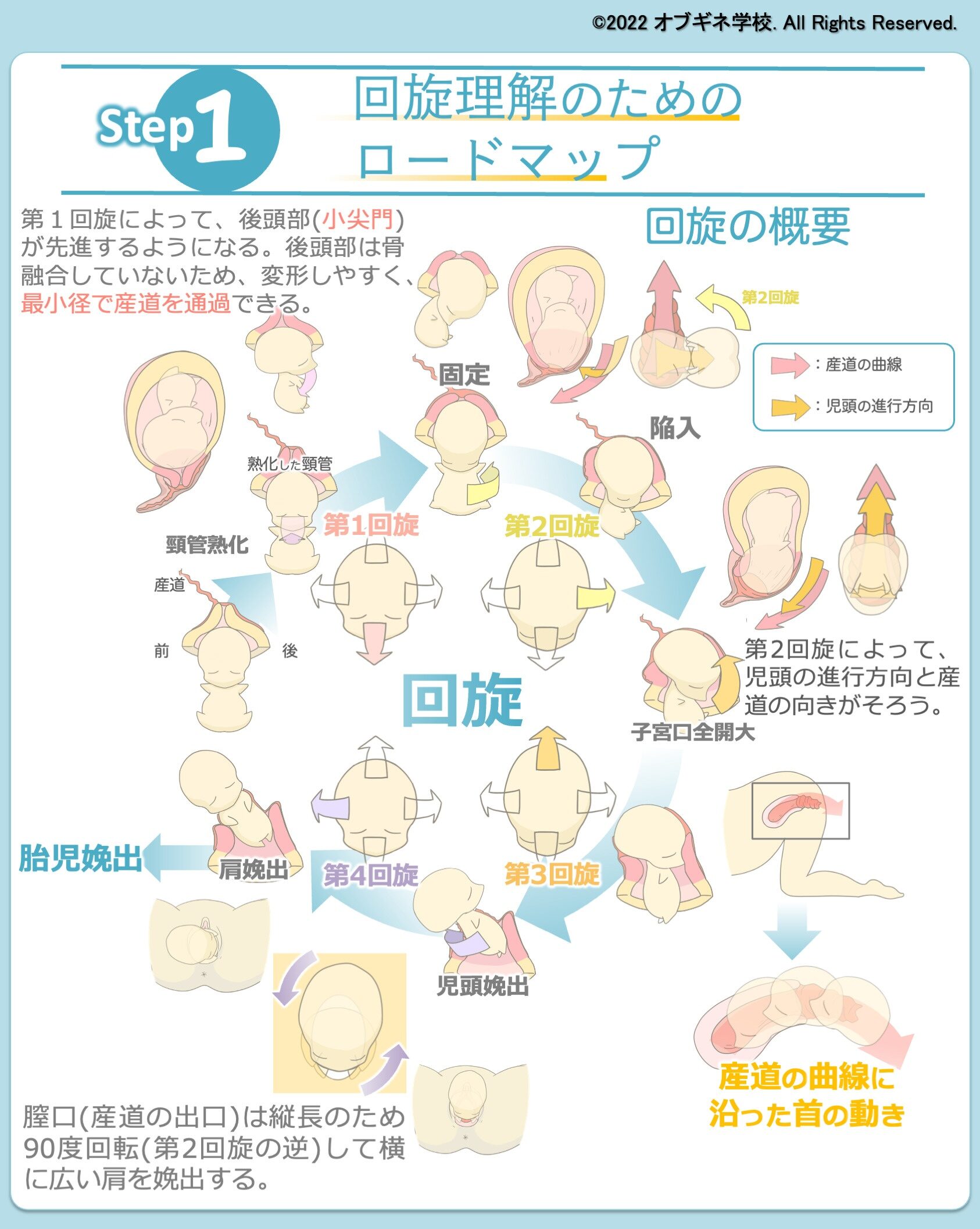 赤ちゃんが回転しないとどうなるのでしょうか？